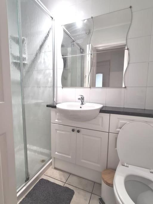 Cosy Self Contained Annexe Daire Bodmin Dış mekan fotoğraf